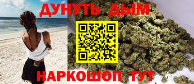 сатива Краснокаменск