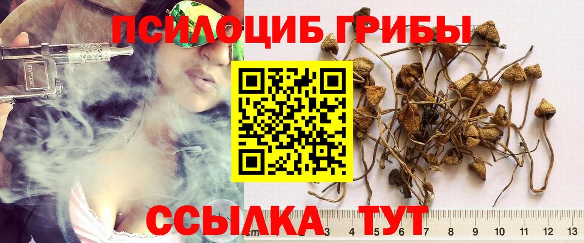 Галлюциногенные грибы мухоморы Гагарин