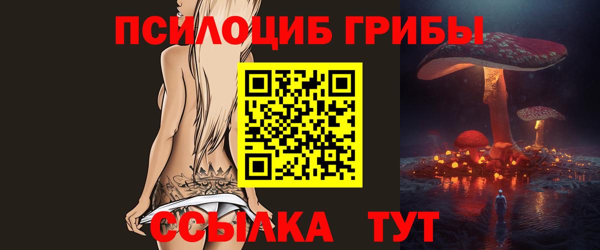 цены   Вход с VPN  Гагарин  Псилоцибиновые грибы мицелий 